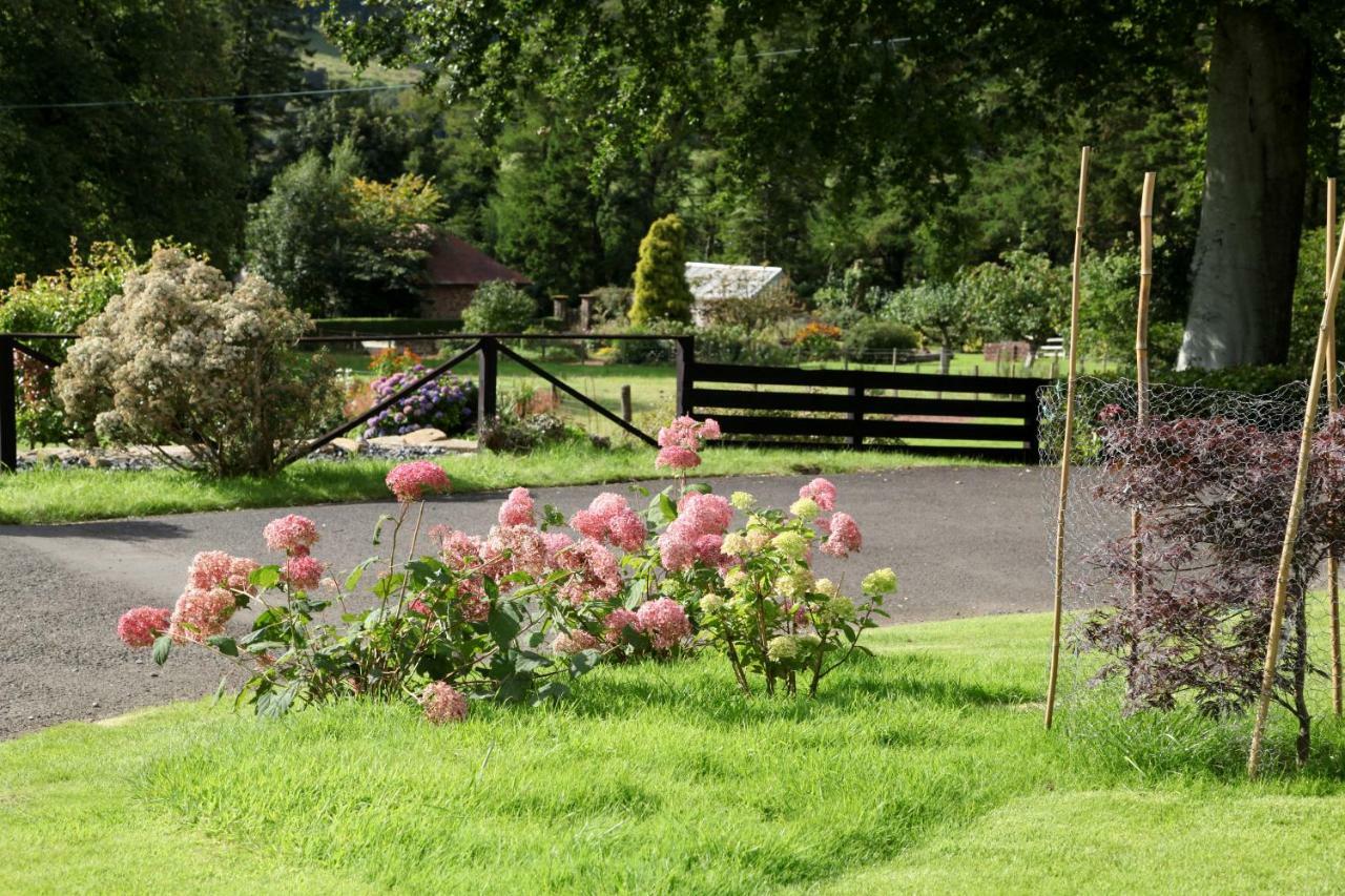 Noddsdale Estate Lägenhet Largs Exteriör bild